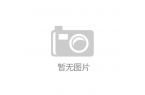 XYZ品牌新推出的智能音箱不容错过j9九